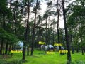 Planeta Glamping Sp. z o.o. - 22