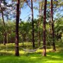 Planeta Glamping Sp. z o.o. - 28